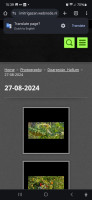 /album/handleiding/afbeelding-van-whatsapp-op-2024-09-11-om-15-52-49-faf8101a-jpg/